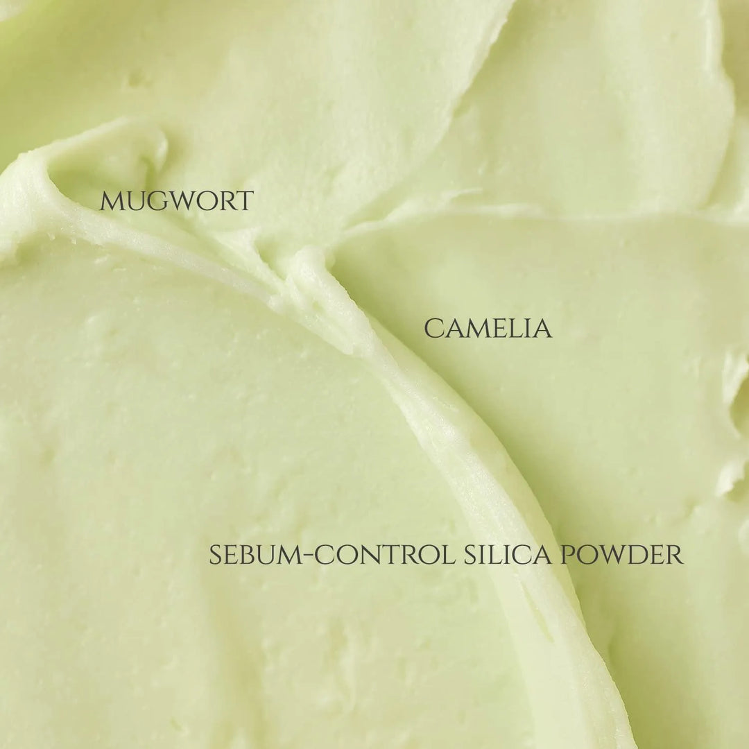 Beauty of Joseon Matte Sun Stick : Mugwort + Camelia SPF50+ PA++++