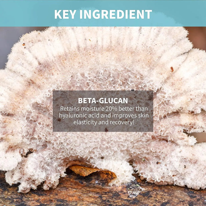 Beta-glucan key ingredient from mushroom, Korean skincare moisturizing benefits, Me Time Groningen
