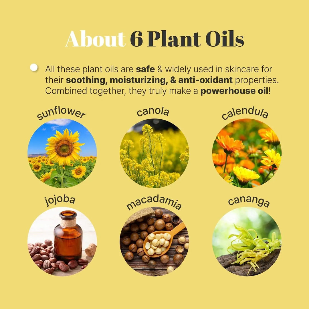 Six plant oils used in Korean skincare: sunflower, canola, calendula, jojoba, macadamia, cananga.
