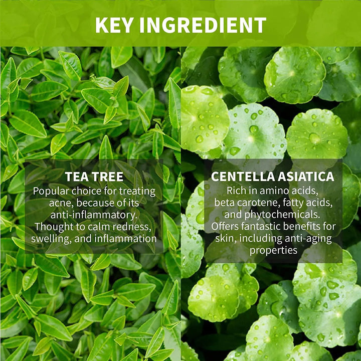 Korean skincare key ingredients tea tree and centella asiatica, featured by Me Time Groningen