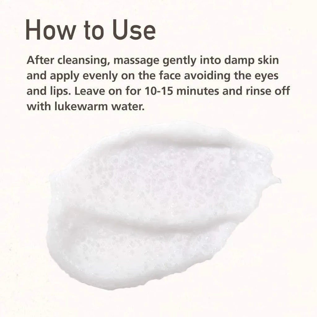 Skinfood Rice Mask Wash Off