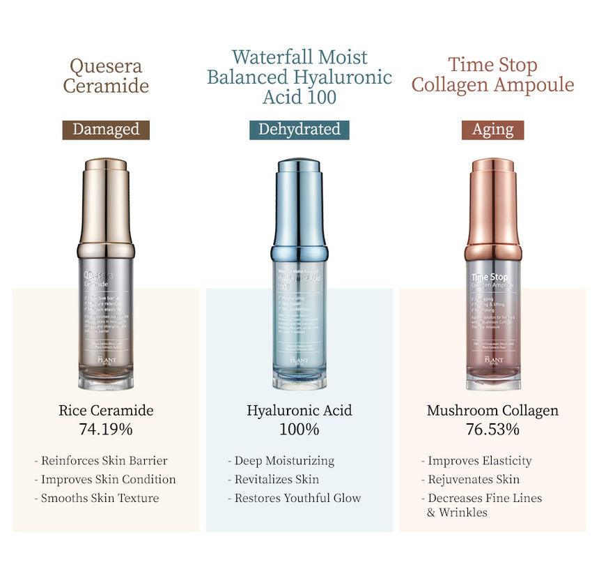 The Plant Base Time Stop Collagen Ampoule